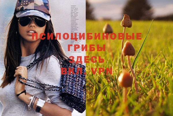 мяу мяу кристалл Алексеевка