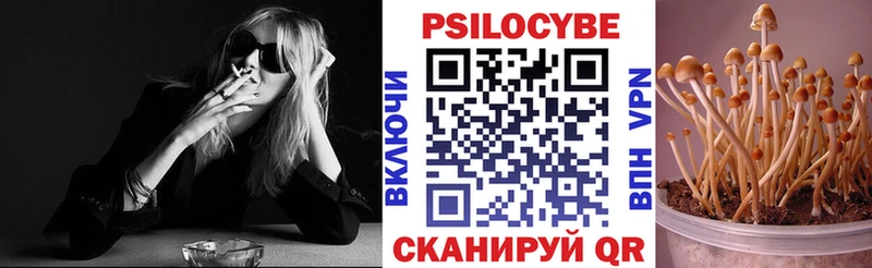 где найти Змеиногорск Псилоцибиновые грибы Magic Shrooms