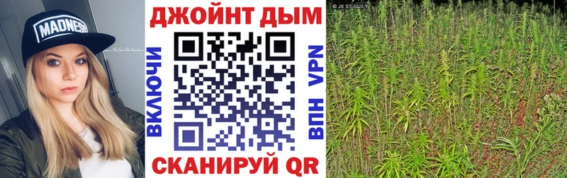 Марихуана конопля ОМГ ОМГ ССЫЛКА Змеиногорск